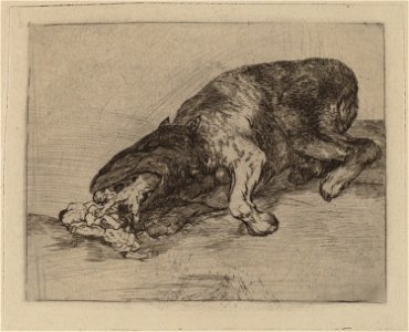 Goya - Fiero monstruo! (Fierce Monster!)