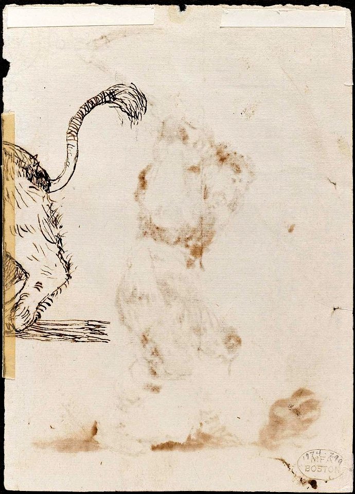 Goya - Hindquarters of an Animal (verso), 1974.299