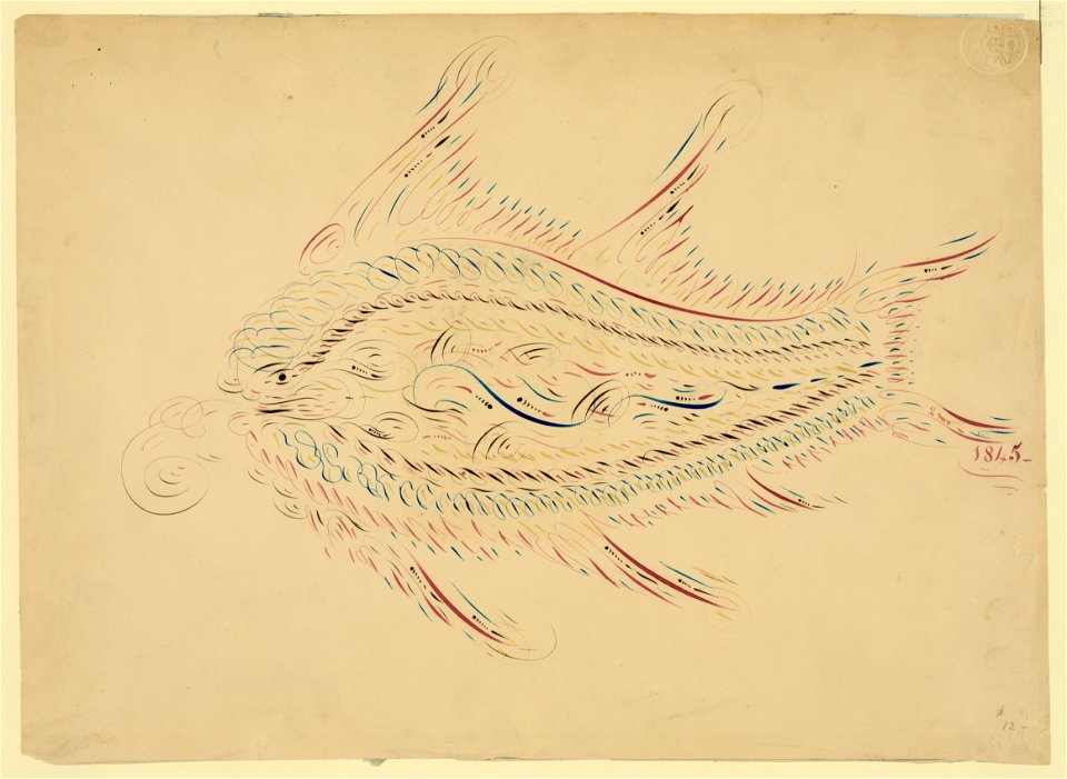 Fish LCCN2004662214