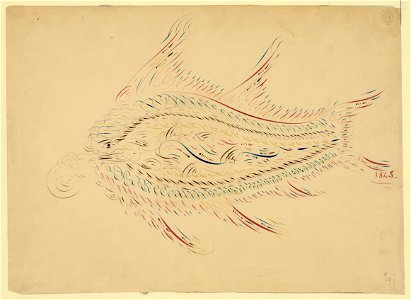 Fish LCCN2004662214