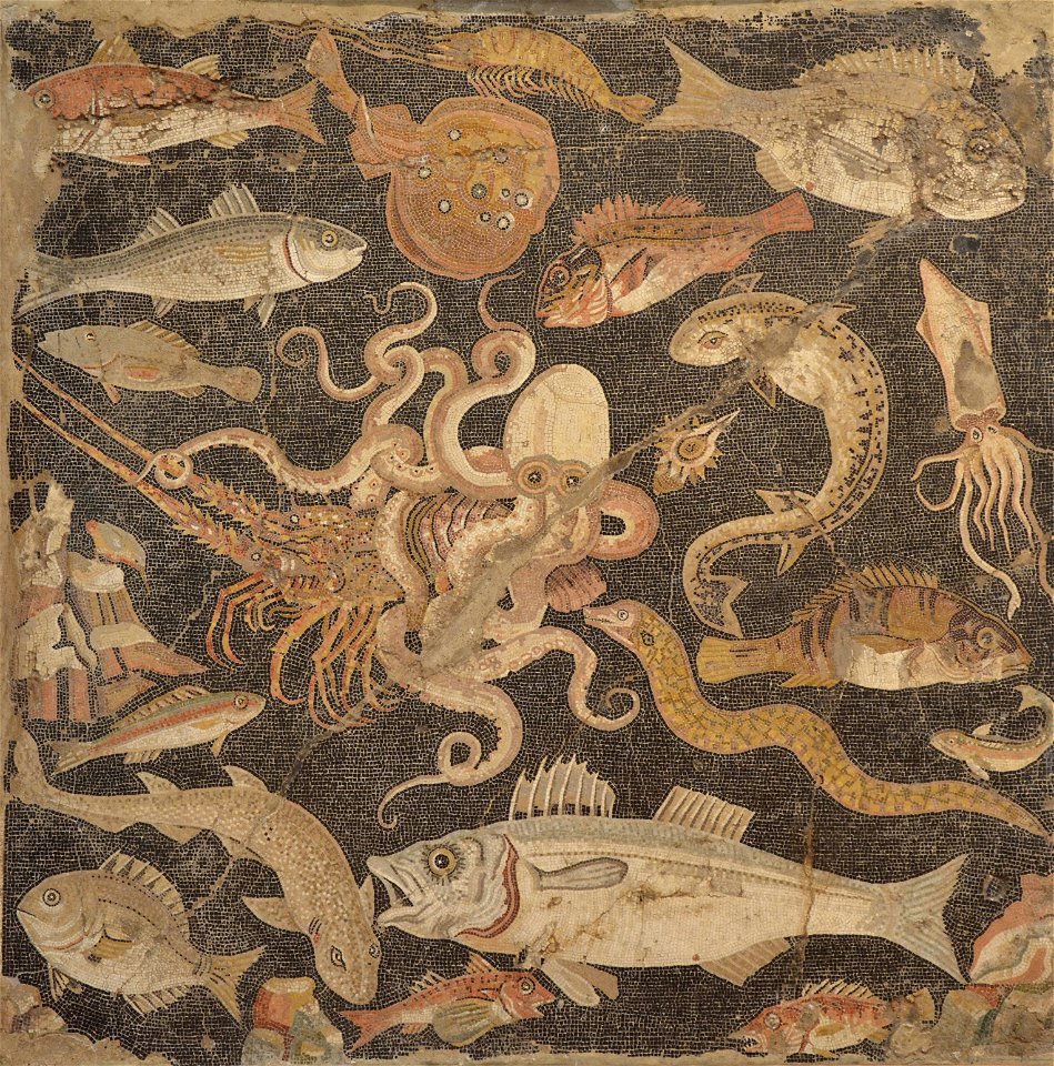 Fish Catalogue mosaic , Naples National Archaeological Museum