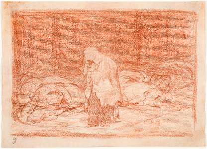 Goya - Las camas de la muerte, D04262