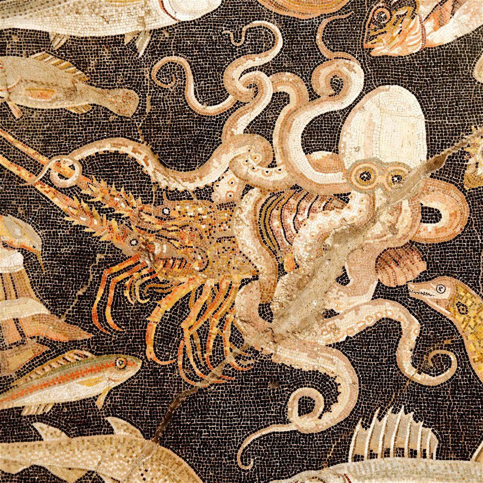 Fish Catalogue MAN Napoli Inv120177 n02