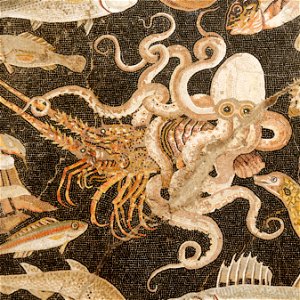 Fish Catalogue MAN Napoli Inv120177 n02