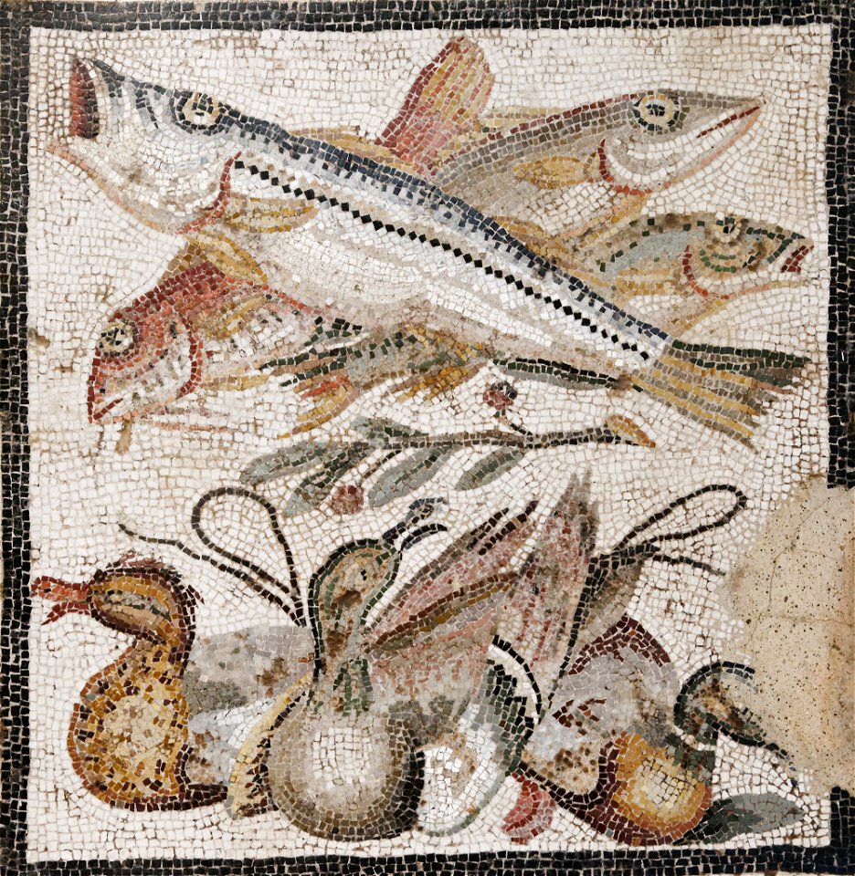 Fish ducks MAN Napoli Inv109371
