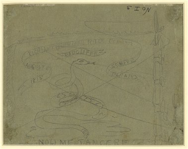 Flag of the Richland Volunteer Rifle Company LCCN2004660861