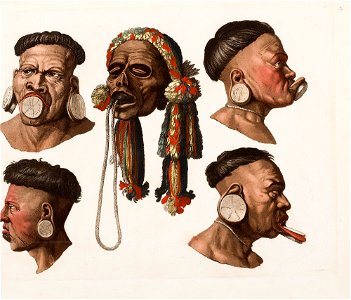 Fisonomia di alcuni Botocudos, da Coleção Brasiliana Iconográfica