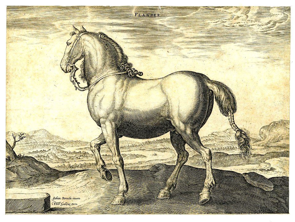 Flander (BM 1957,0413.187)