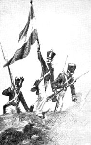 Flankeur-Ligtvoet-op-een-ve