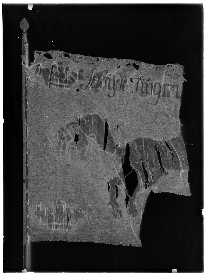Flagga - Livrustkammaren - 55-negative