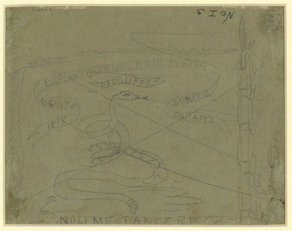Flag of the Richland Volunteer Rifle Company LCCN2004660861