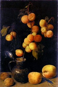 Flegel - Aprikosenzweig