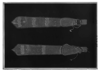 Flaskläder - Livrustkammaren - 476-negative