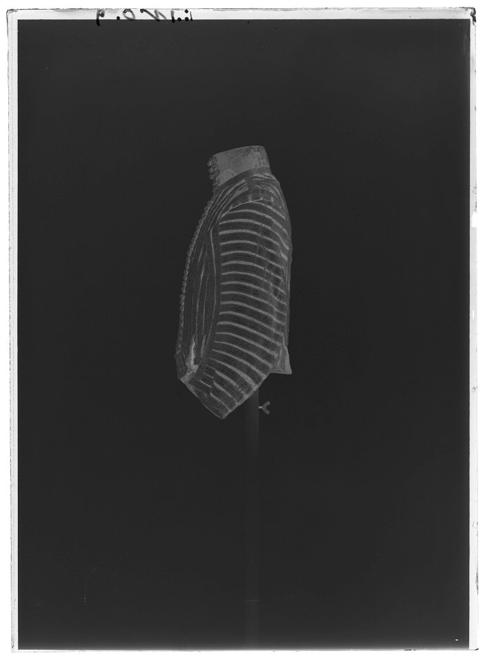 Flax, lakejlivré, 1654-1660 - Livrustkammaren - 53092-negative