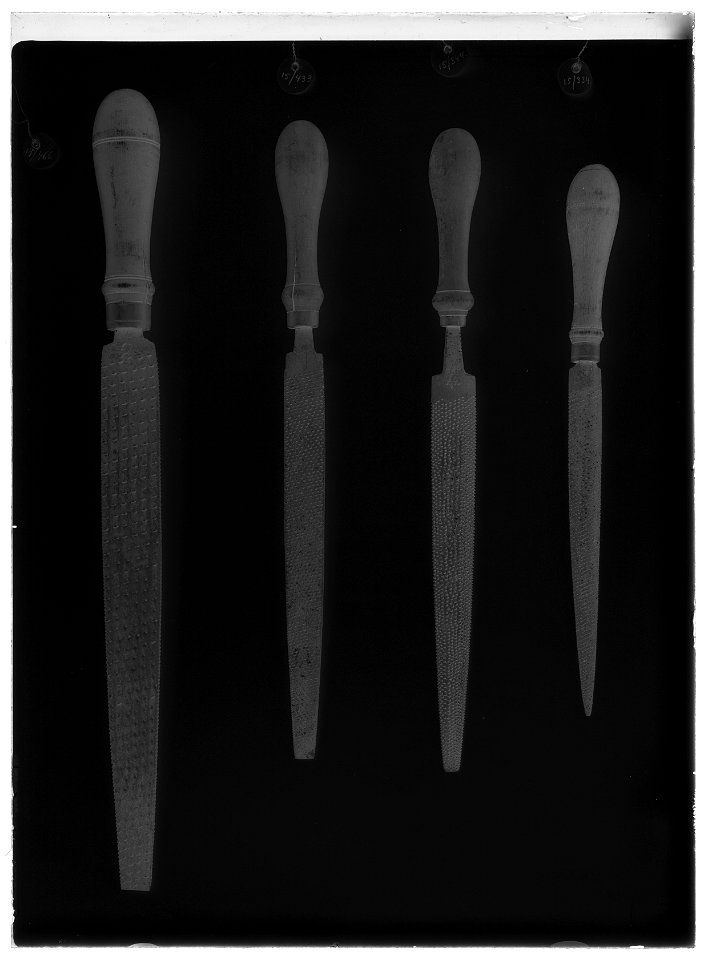 Flatrasp - Livrustkammaren - 35081-negative