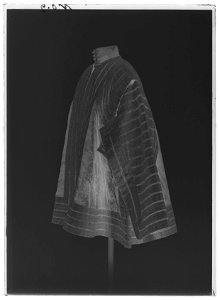 Flax, lakejlivré, Karl X Gustaf - Livrustkammaren - 10288-negative