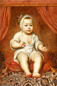 Flemish School - A Boy Called Lucas, Aged 6 Months - 1298231 - National Trust