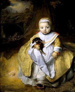 Govaert Flinck (1615-1660) - A Child Holding a Dog - 446720 - National Trust