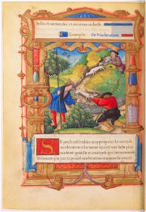 Fleur de vertu - BNF Fr1877 f77v (hermine)