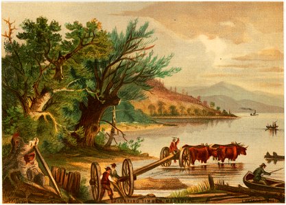 Floating Timber, Meredith (Boston Public Library)