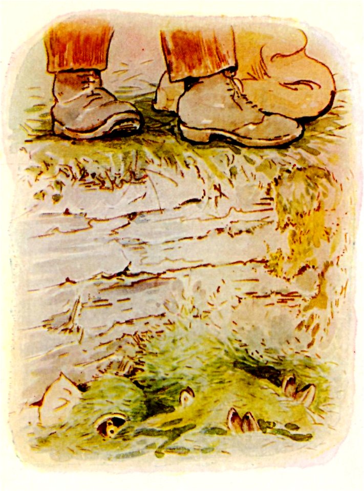 Flopsy-bunnies-image014
