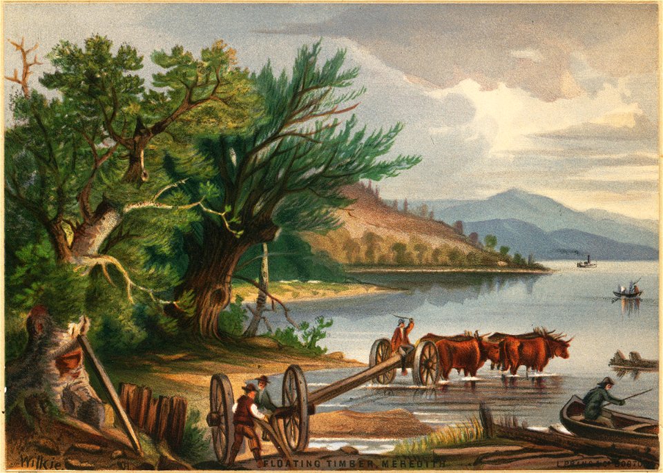 Floating Timber, Meredith 2 (Boston Public Library)