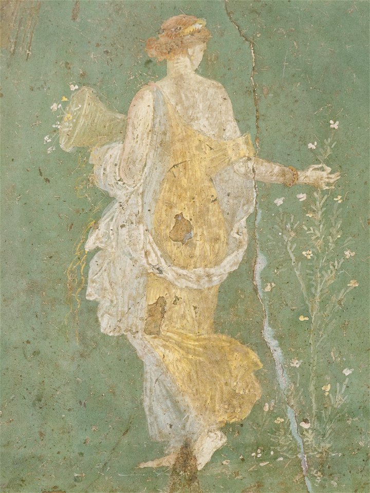 Flora MAN Napoli Inv8834