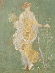 Flora MAN Napoli Inv8834