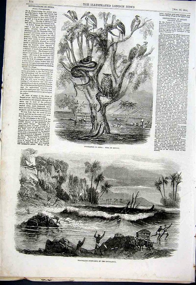 Flood1856