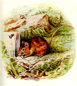 Flopsy-bunnies-image011