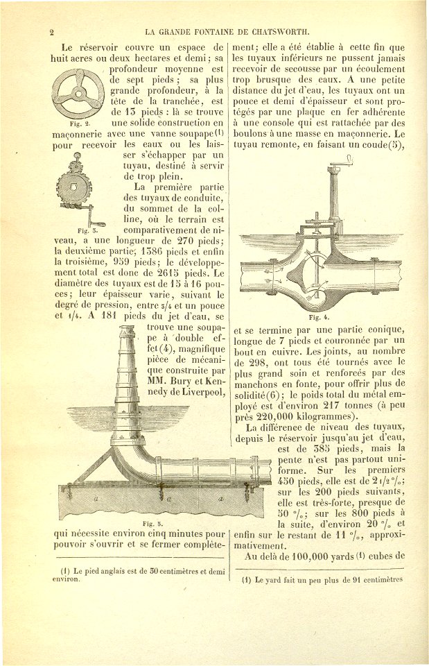 Flore des serres v17 002