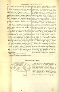 Flore des serres v17 016