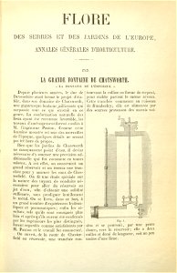 Flore des serres v17 001