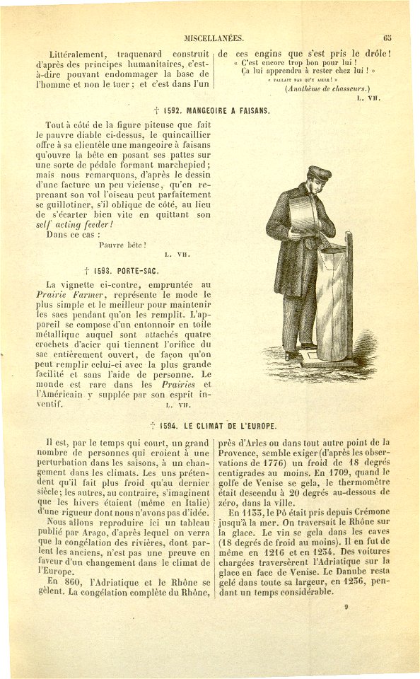 Flore des serres v17 065