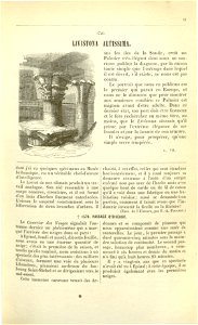 Flore des serres v17 051