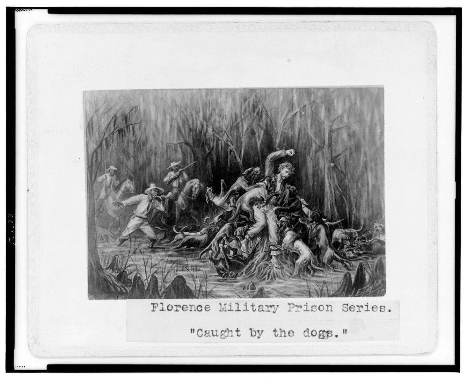 Florence military prison series-Caught by the dogs - J.E. Taylor. LCCN00650871