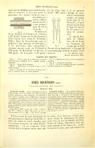 Flore des serres v17 003