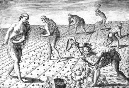 Florida Indians planting seeds of beans or maize LCCN2001695741