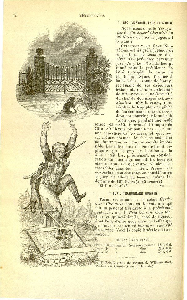 Flore des serres v17 064