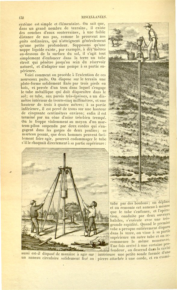 Flore des serres v17 132