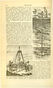 Flore des serres v17 132