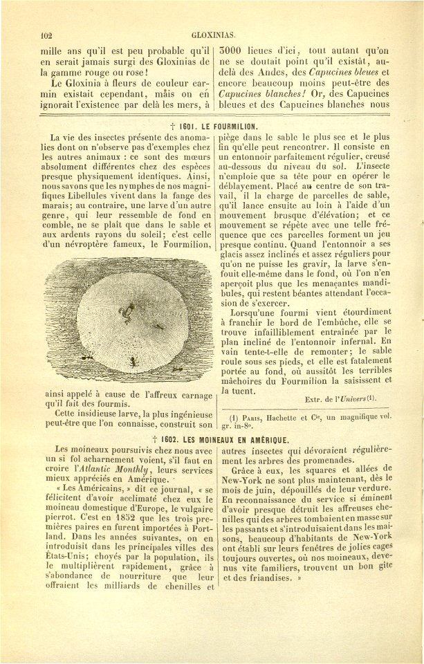 Flore des serres v17 102