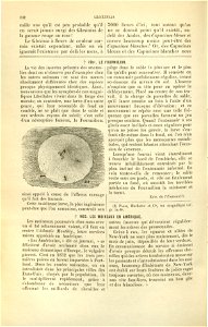 Flore des serres v17 102