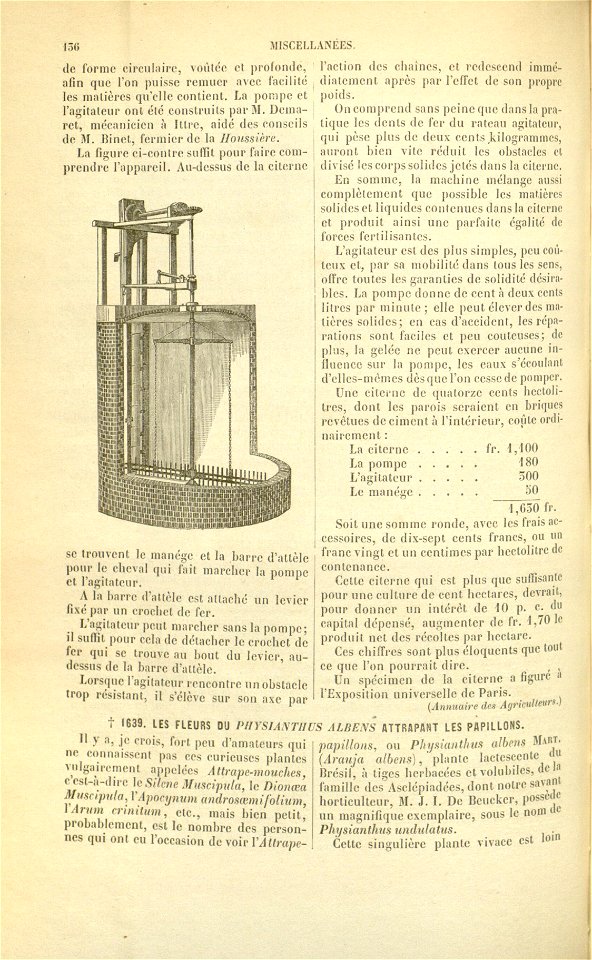 Flore des serres v17 136