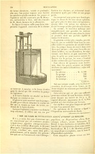 Flore des serres v17 136