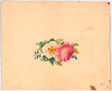 Flower arrangement with red rose or peony, a white blossom with red and yellow center, and blue bell-shaped blossoms, with foliage LCCN2016648712