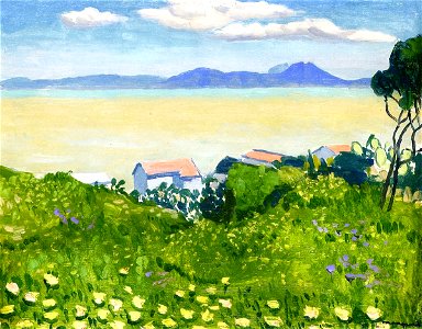 Flowering Field Albert Marquet
