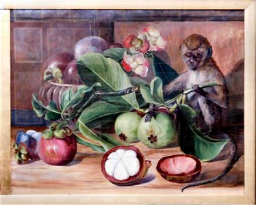 Flowers and fruit of the mangosteen, and Singapore monkey, by Marianne North