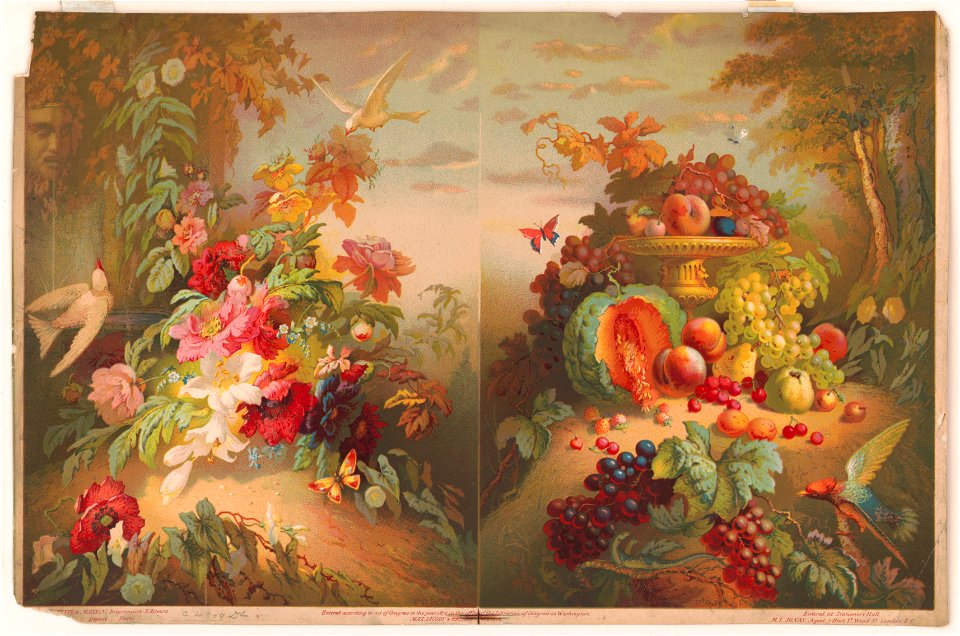 Flowers & fruits (written in pencil on verso) LCCN2004670579