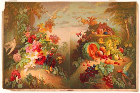 Flowers & fruits (written in pencil on verso) LCCN2004670579